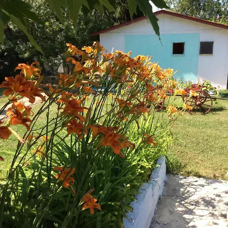 Campsite Svetlina
